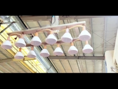 कम कीमत के साथ गर्म बिक्री कुकी मेसन जार जार प्लास्टिक